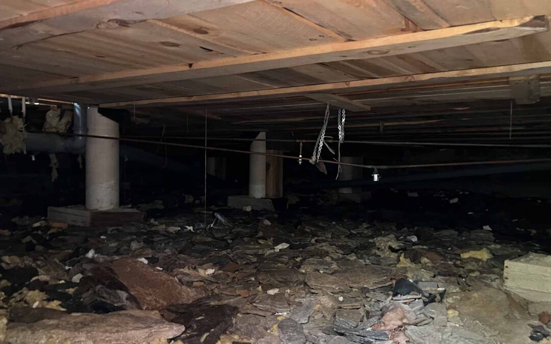 Hälsorisker i fokus – fukt i krypgrunder oroar experter