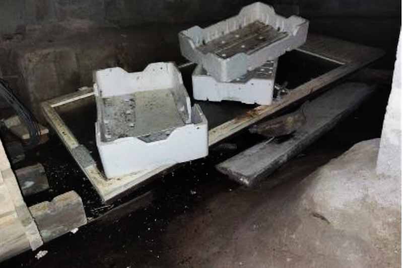 Nu är det vår i Stockholm – dags att se över din krypgrund?